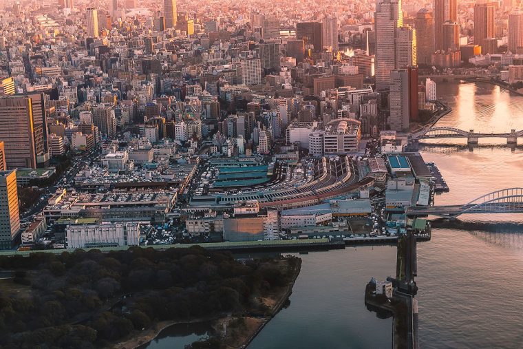 TSUKIJI WONDERLAND （築地ワンダーランド） 築地市場